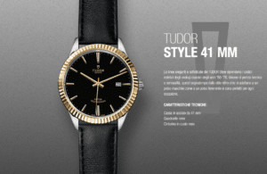 tudor style